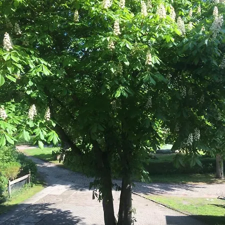 Ferienwohnung Kastanienblick oder Parkblick Ziethen  Exterior foto