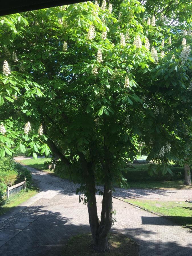 Apartment Kastanienblick Oder Parkblick Ziethen (Vorpommern-Greifswald)
