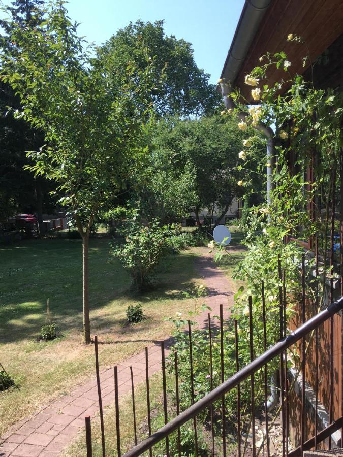 Kastanienblick Oder Parkblick Apartment *